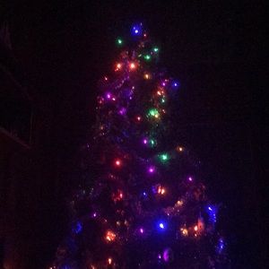 Meet your Posher, Connie